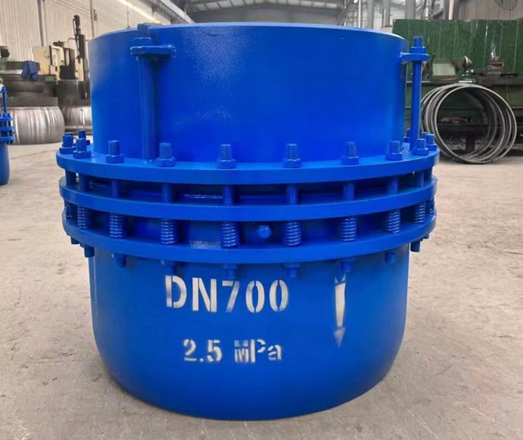 DN700Ͳ